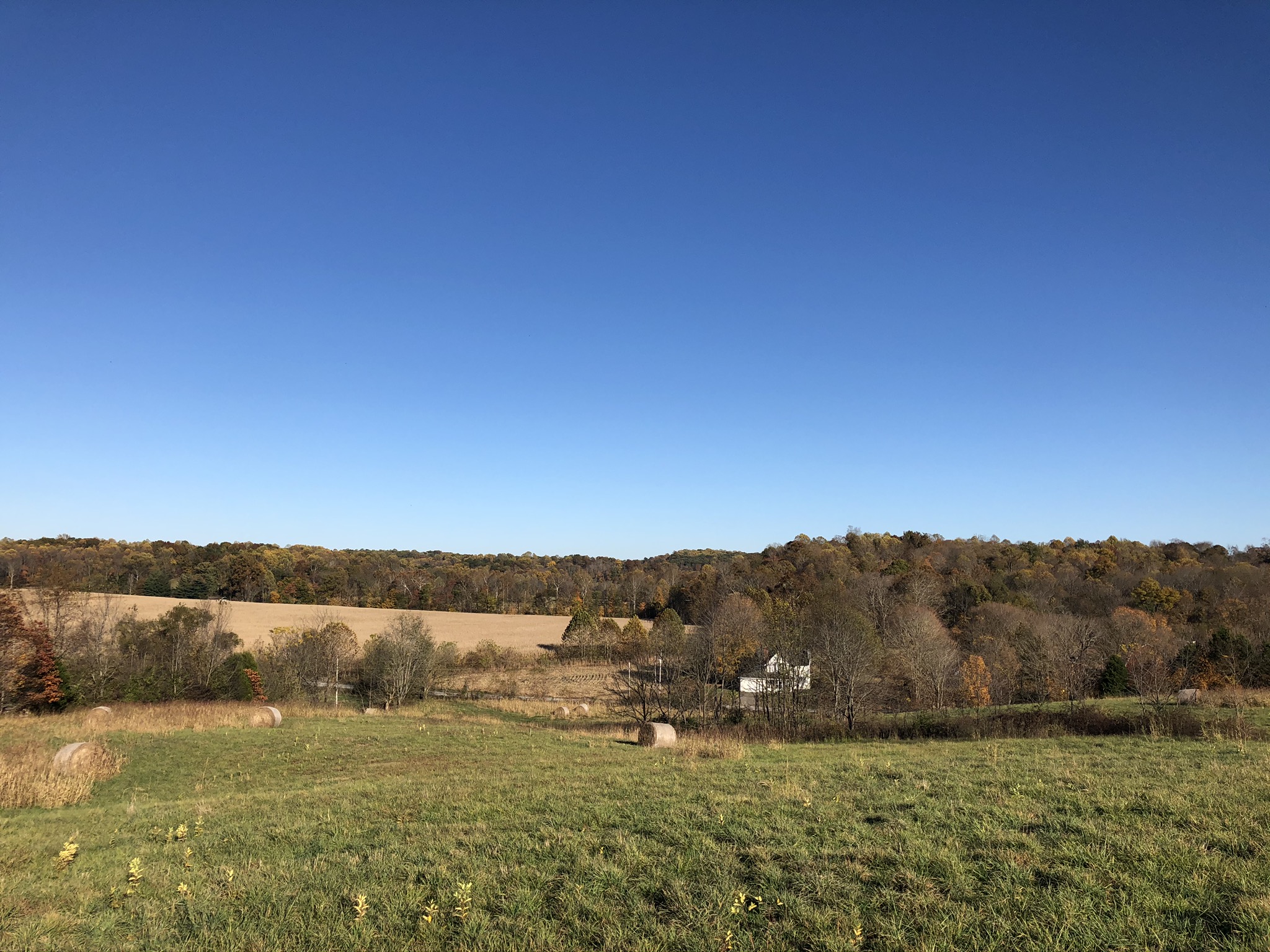Farm scenery
