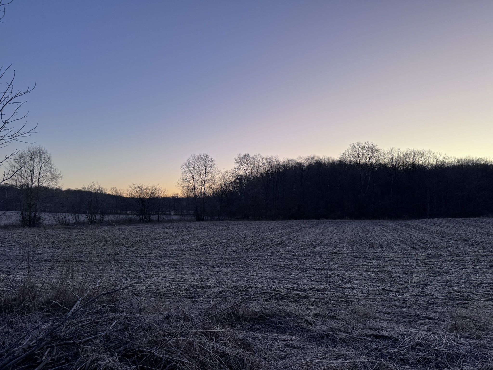 Farm scenery